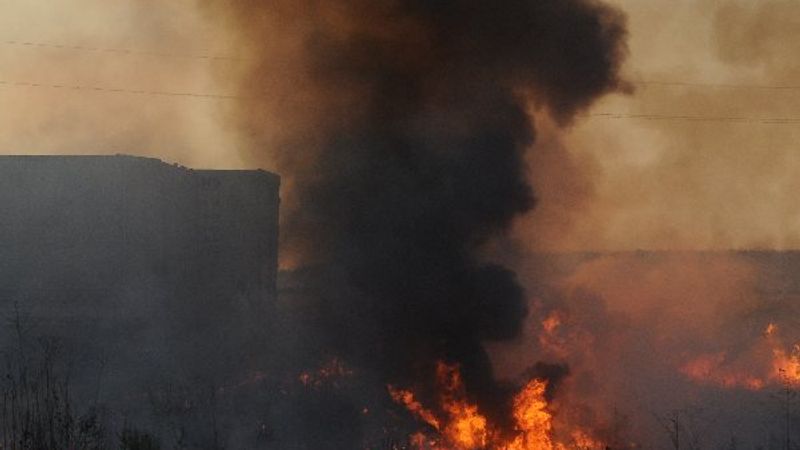 Şırnak'ta sigara izmariti tarlayı küle çevirdi