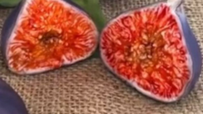 Pasta sanatçısının eserleri