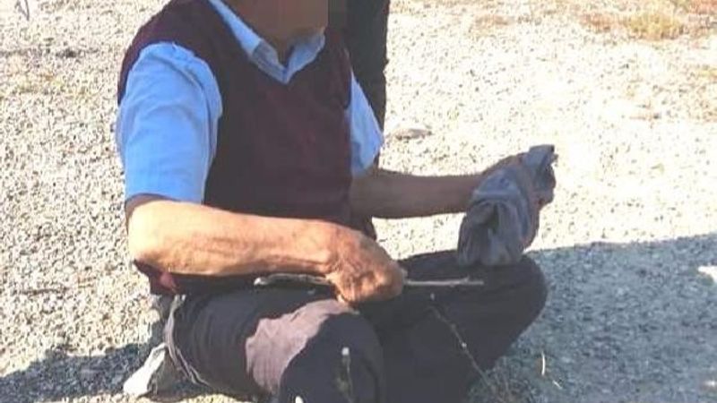 Kocaeli'de köpeğe tecavüz ederken yakalandı