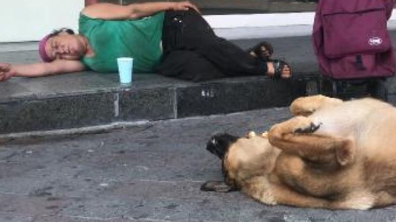 Taksim’de köpeğin vefası: Yalnız bırakmıyor