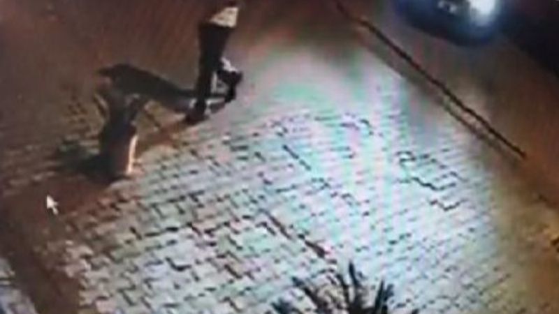 Adana'da saksıdaki süs bitkisinin çalınma anı