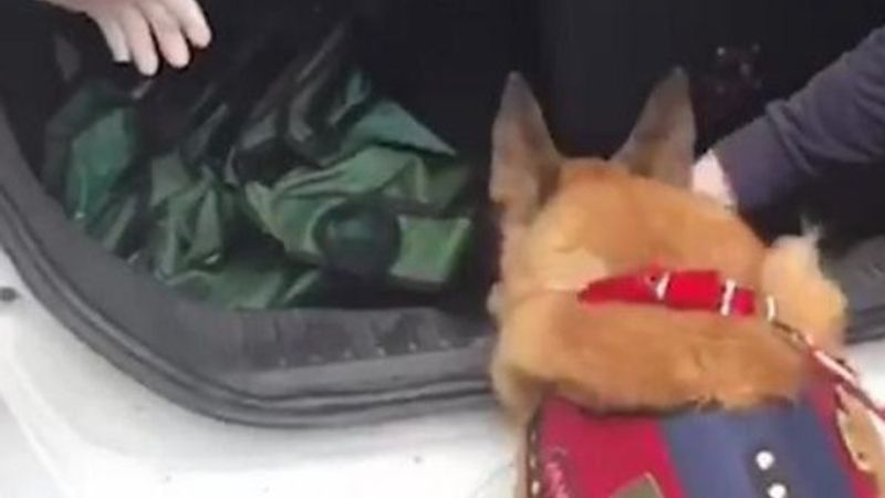 İstanbul'da uyuşturucu dağıtan zehir taciri yakalandı