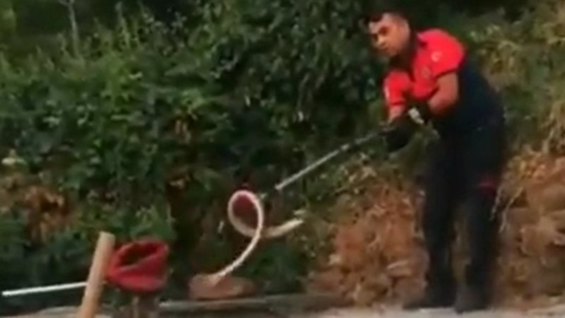 Denizli'de evin bahçesindeki yılan panik yaşattı