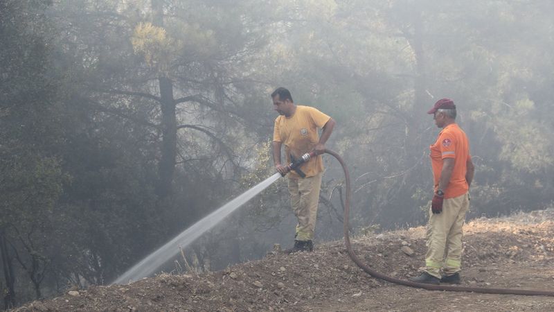 İzmir Menderes'teki orman yangınının şüphelisi tutuklandı