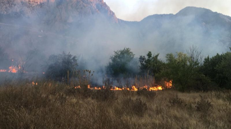 Amasya'da çıkan yangında 5 dönüm arazi zarar gördü