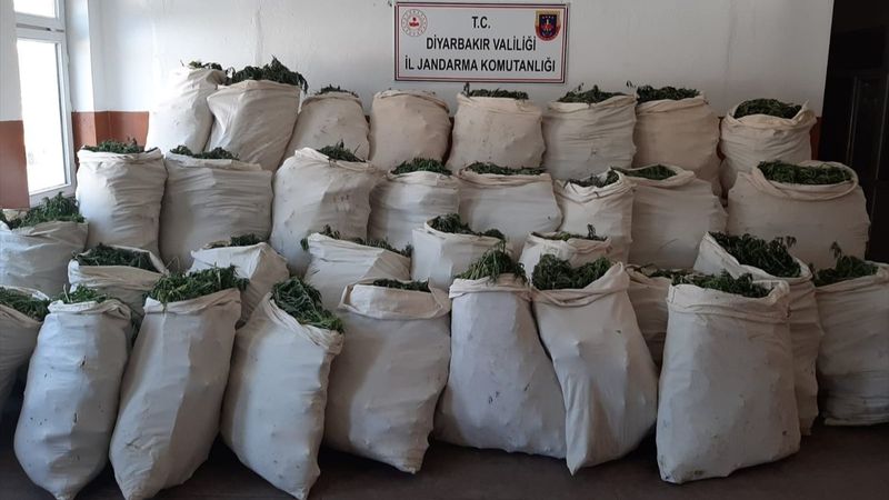 Diyarbakır'da 1 milyondan fazla kök kenevir ele geçirildi