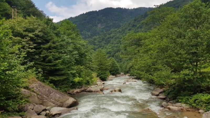 Türkiye'nin hava kalitesi raporu