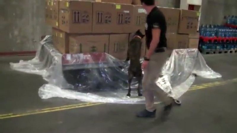 Hollanda'dan getirilen uyuşturucu İstanbul'da yakalandı