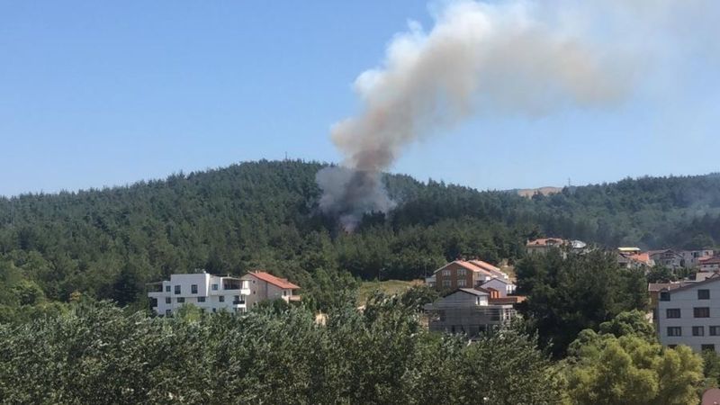 Bursa'da yerleşim yeri yakınında orman yangını