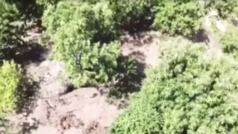 İzmir'de drone destekli uyuşturucu operasyonu