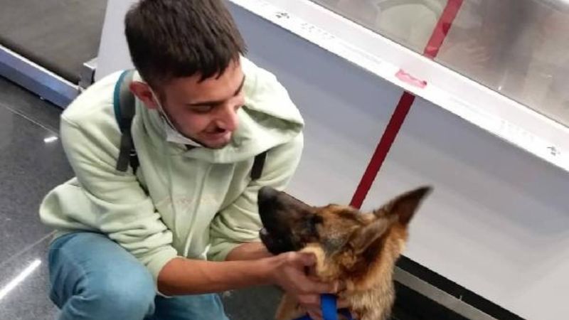 Sopayla dövülen Pongo'yu İtalyan aile sahiplendi