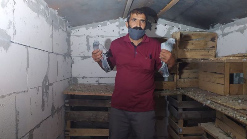 Bursa'da 100 bin lira değerindeki güvercinler çalındı