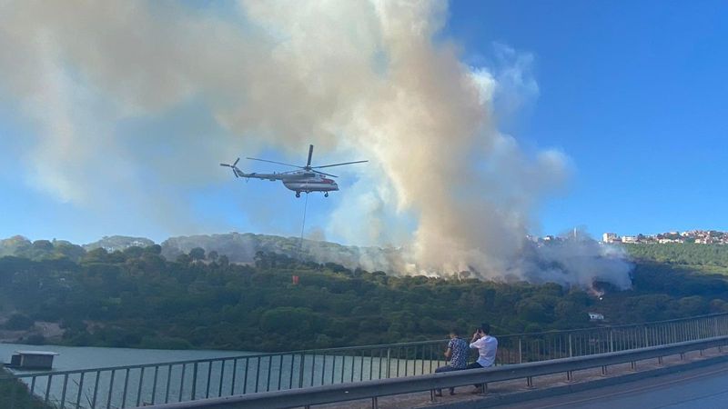 Maltepe'de orman yangını