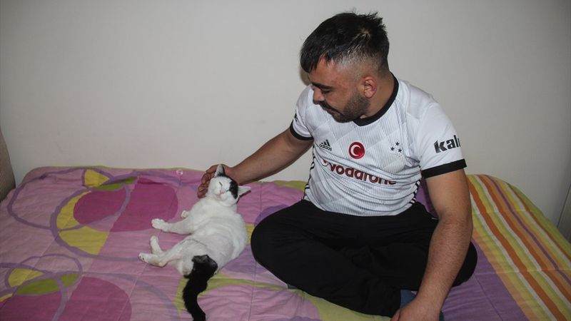 Kars'ta sağlık personeli, bulduğu yaralı kediye sahip çıktı