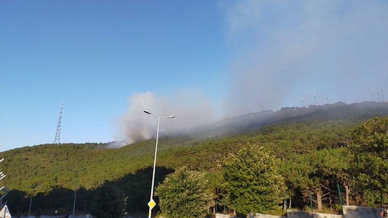 İstanbul'da orman yangını