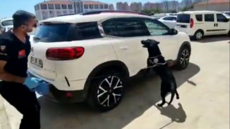 Erzurum'dan Antalya'ya giden uyuşturucuyu narkotik köpeği buldu