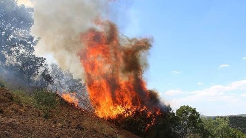Suriye'de çıkan yangın Türkiye'ye sıçradı