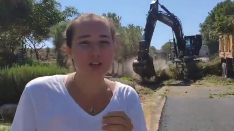 İzmirli Didem Aypak'ın ağaç isyanı