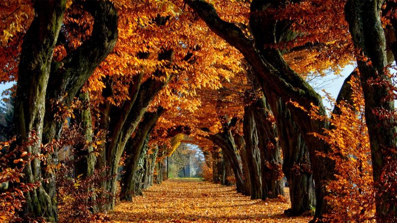 En güzel Eylül ayı mesajları