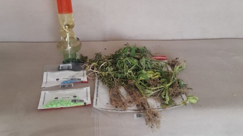 Manisa'da yayladaki evinin balkonunda kenevir yetiştirirken yakalandı