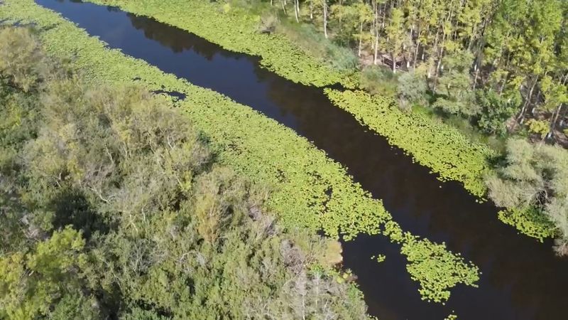 Acarlar Longozu, bakım nedeniyle 450 gün kapalı kalacak