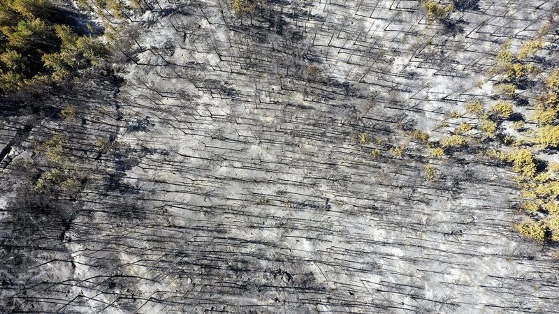 Çorum'da ormanlık alan yandı