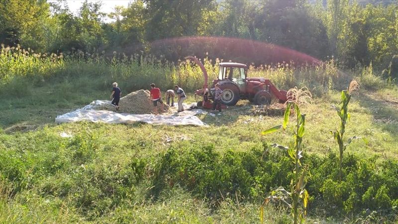 Muğla'da kolunu silaj makinesine kaptıran çiftçi ağır yaralandı
