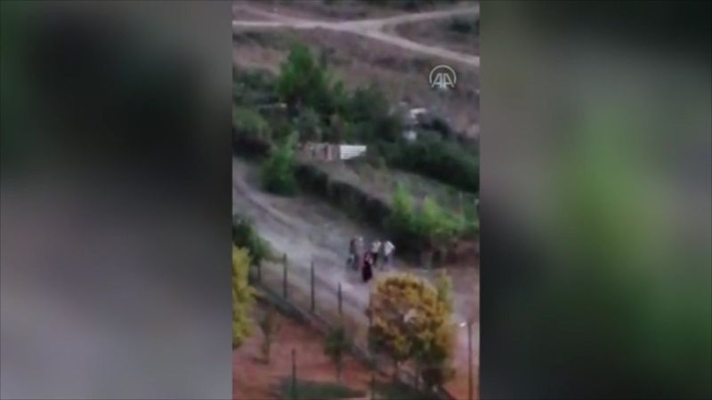 İstanbul'da sokak hayvanlarını beslemek isteyen kadın darbedildi