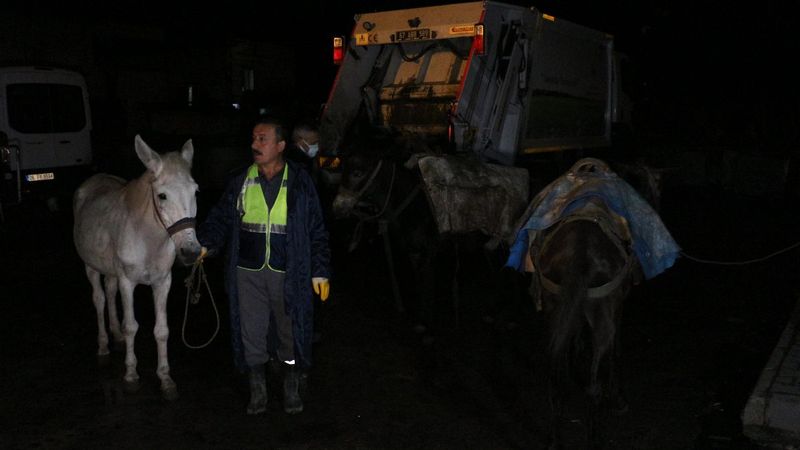 Zonguldak'ta çöpçülük yapan katırlar emekliye ayrıldı
