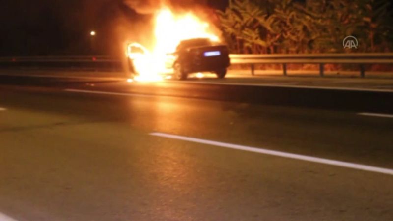 Adana'da bir otomobil yandı