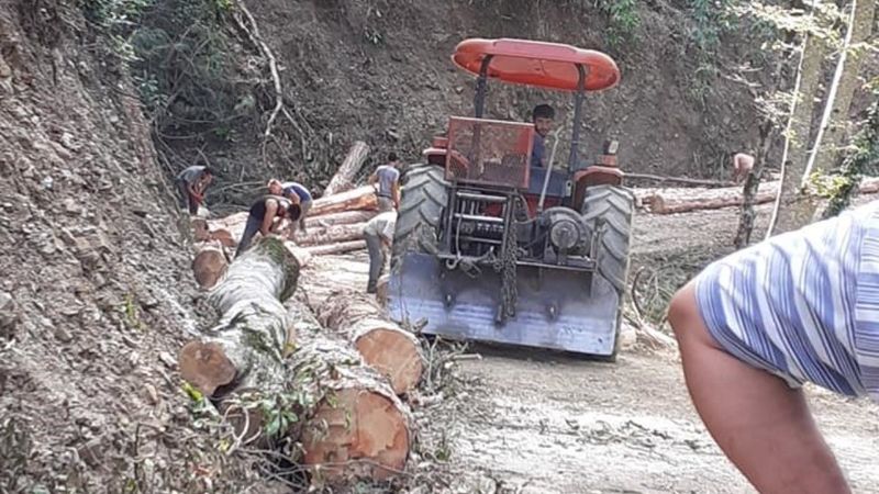 Bartın'da ağacın altında kalan işçi hayatını kaybetti