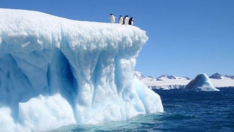 Karbon emisyonlarındaki artış, deniz seviyesini yükseltecek