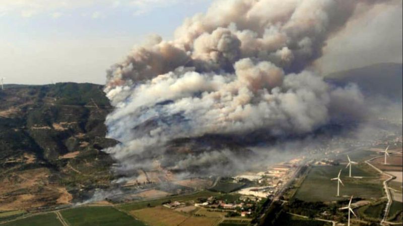 Aydın Söke'de ziraat alanında çıkan yangın ormana sıçradı