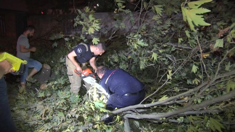 Sultangazi'de lodos nedeniyle park halindeki aracın üstüne ağaç devrildi