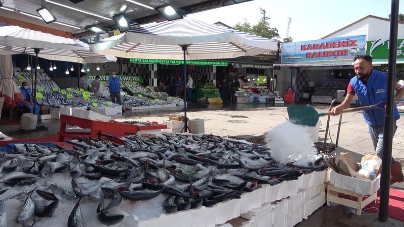 Karadeniz'deki palamut bolluğu, Kırıkkale'de tezgahların yüzünü güldürdü