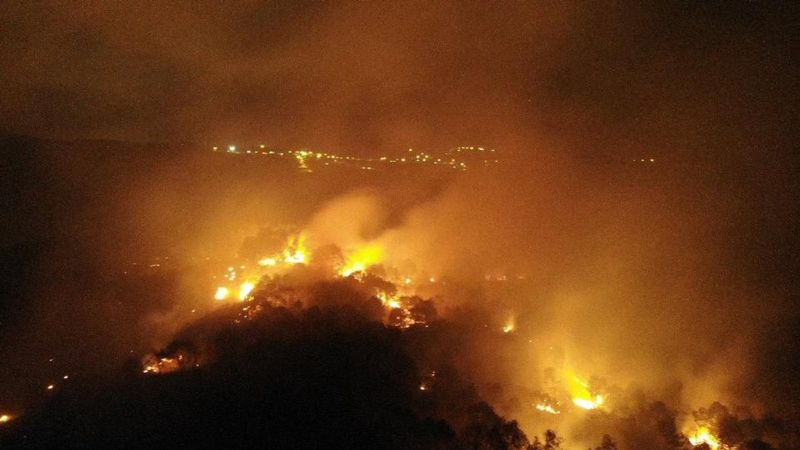 Pendik'te ormanlık alanda yangın çıktı