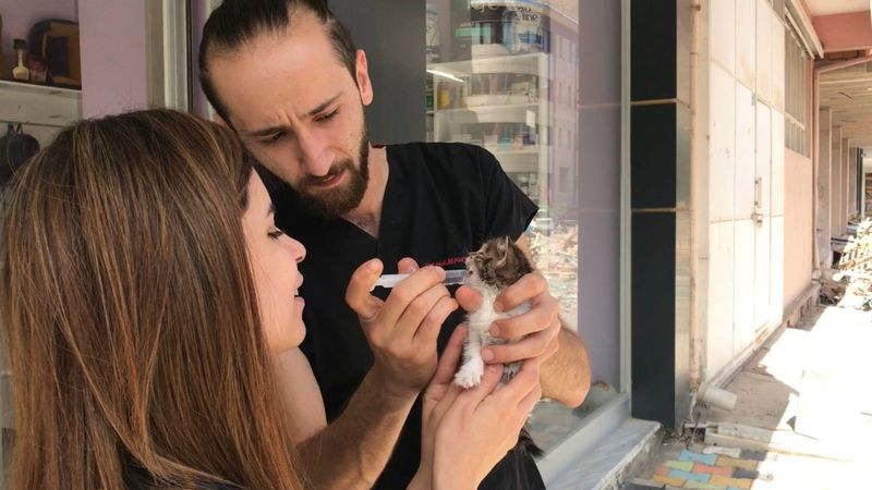 Bayburt’ta Türkiye’nin 2’nci down sendromlu kedisi bulundu