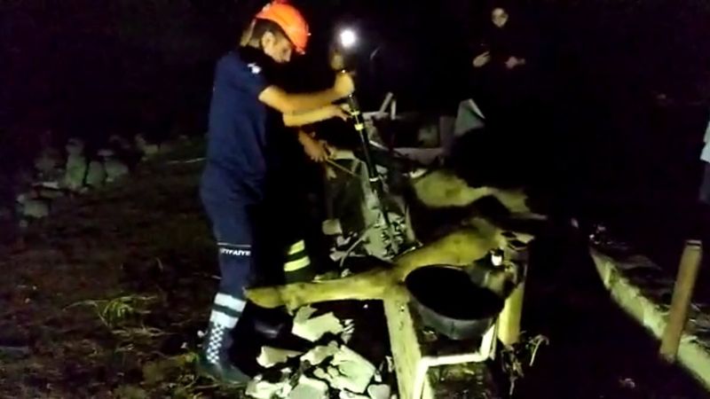 Hatay'da bir inek kanala düştü