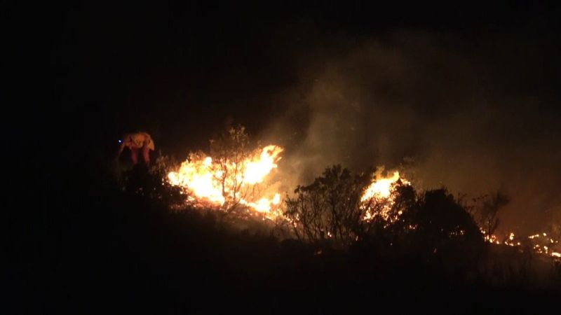 Hatay'da orman yangını meydana geldi