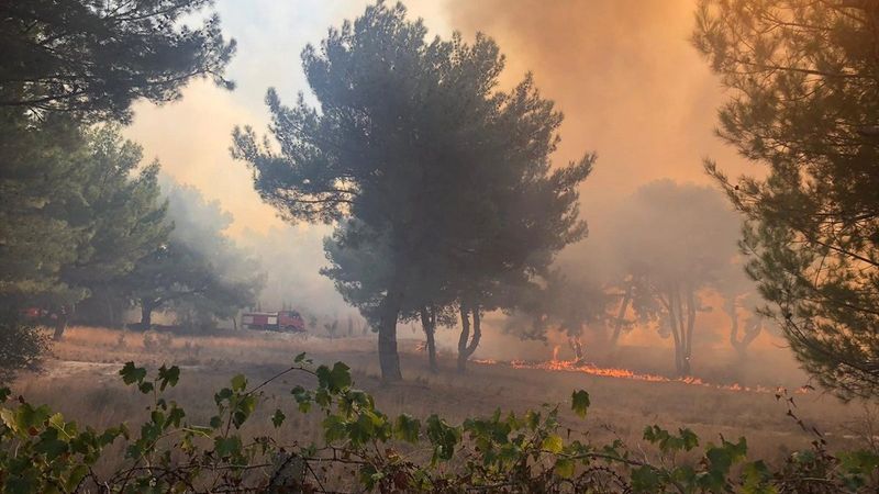 AFAD: Hatay'da şu ana kadar 542 kişi tahliye edildi