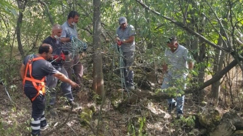 Kuyuya düşen yavru köpeği itfaiye kurtardı