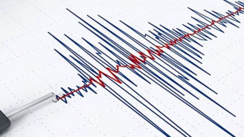 Ege Denizi'nde 4.8 büyüklüğünde deprem meydana geldi