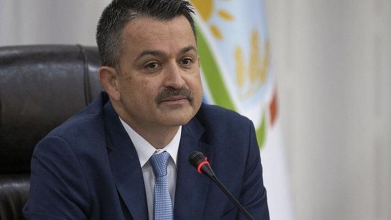 Bekir Pakdemirli: Yanan alanların tamamı yeniden ağaçlandırılacak