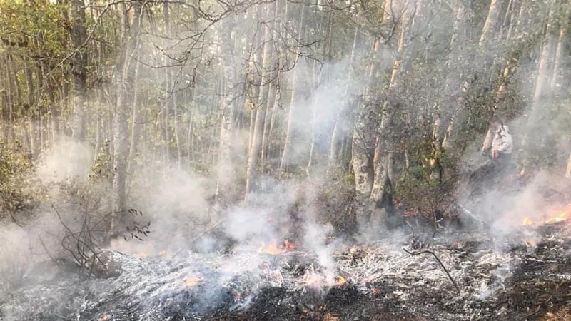 Ordu'da yangına müdahale eden bir kişi öldü