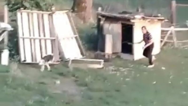 Bartın'da tavukların sahibi kümese giren köpeğe saldırdı