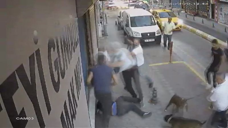 Kadıköy'deki kavgaya köpekler de karıştı