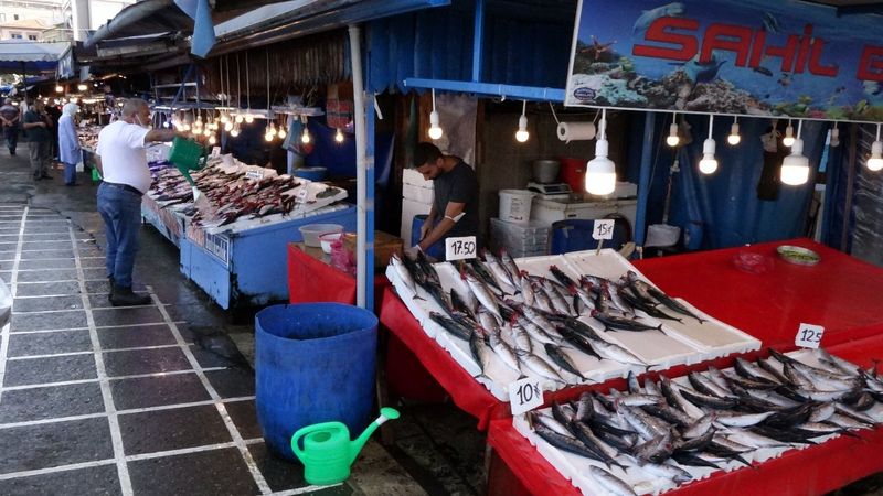Karadeniz'de komşu ülkelerin hamsi avı, stoklara zarar veriyor