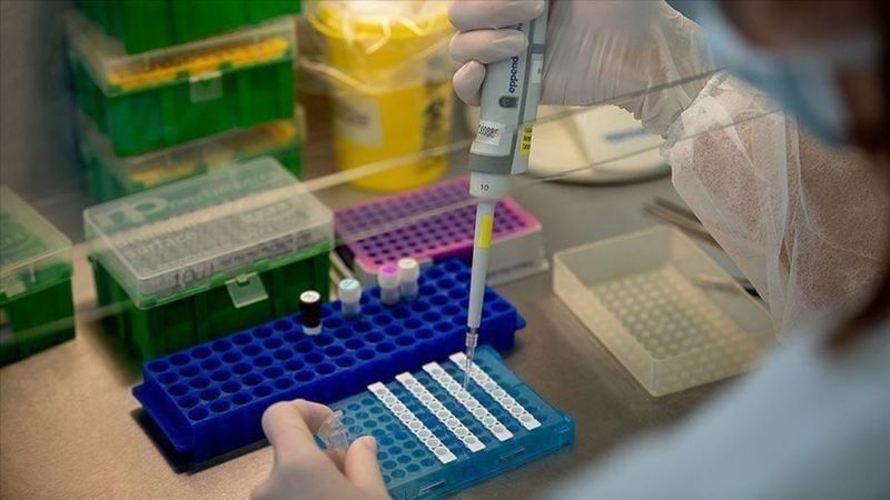 Korona tedavisi gören yaşlı erkekler, plazma bağışı için en güçlü aday