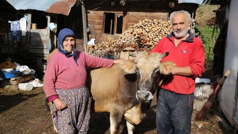 Artvin'de 'Devlet' sayesinde çiftlik sahibi oldular