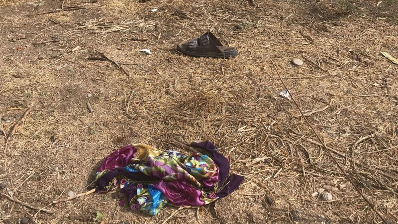 Adana'da akrabalar arasında ağaç kesme kavgası: 2 ölü